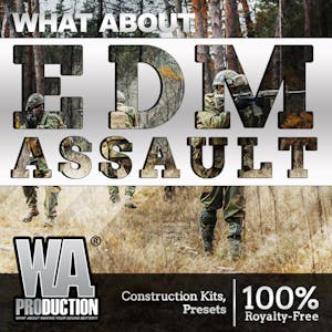 EDM Assault